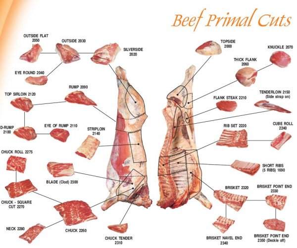 Beef_Cuts